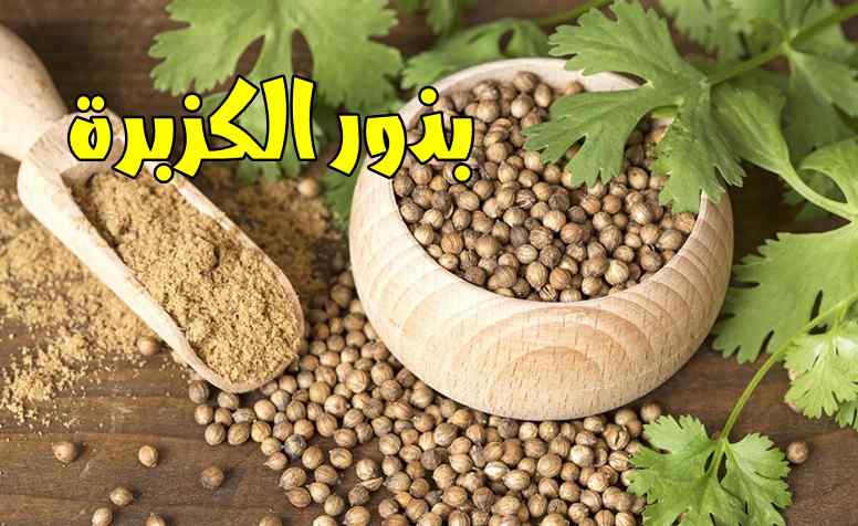 بذور الكزبرة
