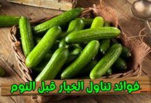 فوائد تناول الخيار قبل النوم