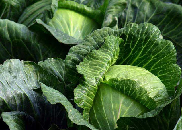 The Pros and Cons of Switching to a Fully Digital Payment Wallet