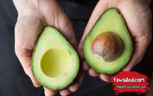 20 غذاء يحبها الدماغ وتنشط الذاكرة وتعزز التركيز