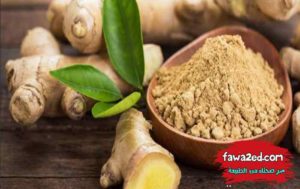 20 غذاء يحبها الدماغ وتنشط الذاكرة وتعزز التركيز