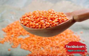 20 غذاء يحبها الدماغ وتنشط الذاكرة وتعزز التركيز
