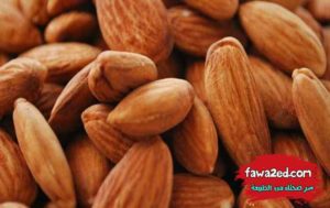 20 غذاء يحبها الدماغ وتنشط الذاكرة وتعزز التركيز