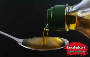 20 غذاء يحبها الدماغ وتنشط الذاكرة وتعزز التركيز