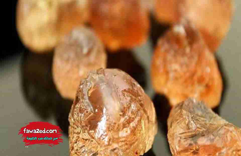 فوائد الصمغ العربي