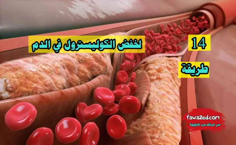 14 طريقة لخفض الكوليسترول في الدم