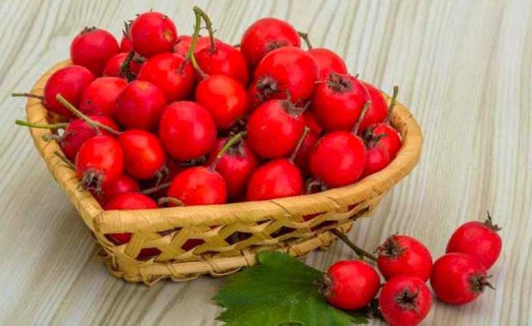 9 أعشاب مذهلة فعالة في تقوية الكلى والكبد