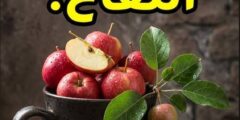 فوائد أكل التفاح: هذه أهم فوائده لصحتك