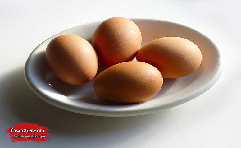 فوائد البيض المسلوق: 17 فائدة صحية للبيض المسلوق