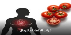 فوائد الطماطم للرجال