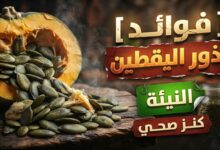فوائد بذور اليقطين النيئة