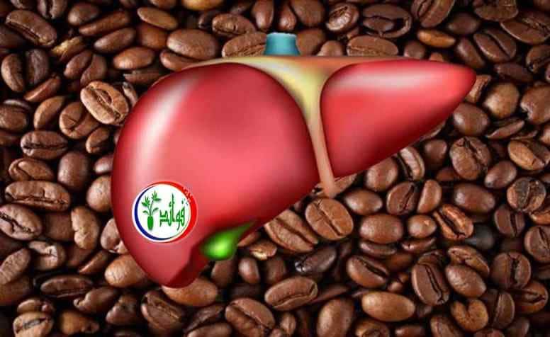 فوائد شرب القهوة على صحة الكبد