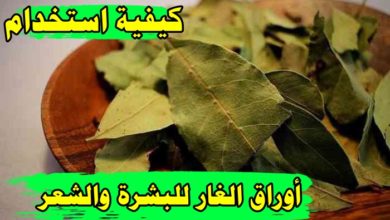 كيفية استخدام اوراق الغار للشعر والبشرة