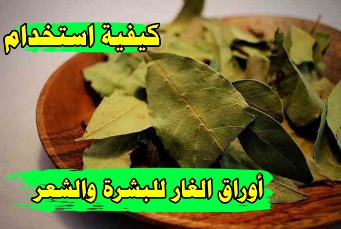 كيفية استخدام اوراق الغار للشعر والبشرة