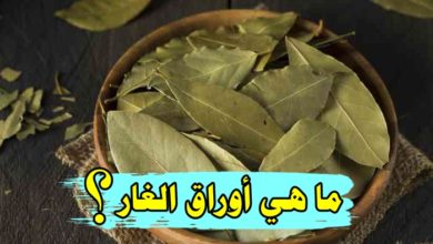 ما هي اوراق الغار