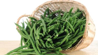 10 فوائد للفاصوليا الخضراء