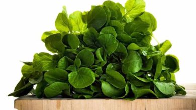 16 من أقوى فوائد الجرجير