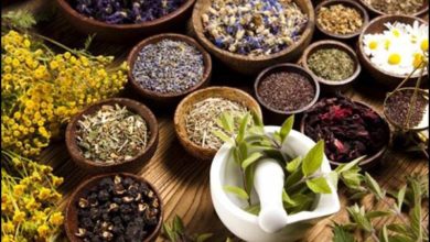 آثار الدردار على هرمونات الجنس