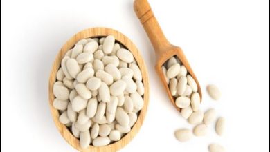 فوائد الفاصوليا البيضاء