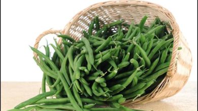 فوائد الفاصوليا الخضراء