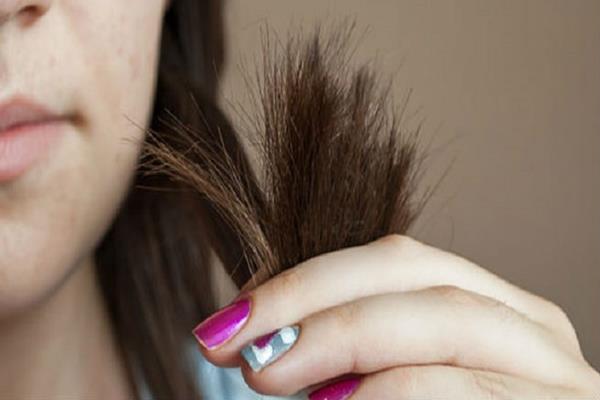 علاج الشعر التالف بالزيوت الطبيعية