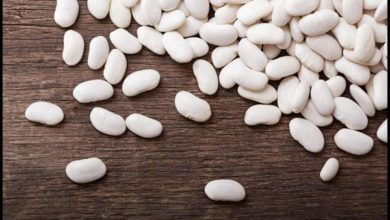 الفاصوليا البيضاء