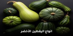 انواع اليقطين الأخضر