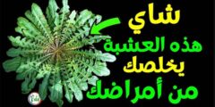 شاي هذه العشبة يقوي البصر يحمي الكبد ينظم الضغط والكوليسترول يغسل الكلى ويدر البول ويمنع الالتهابات