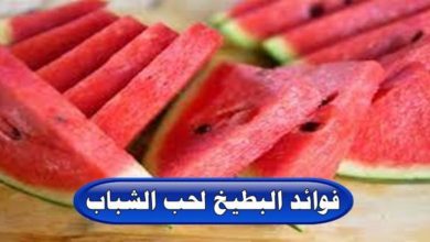 فوائد البطيخ لحب الشباب