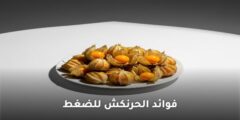 فوائد الحرنكش للضغط