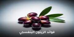 فوائد الزيتون البنفسجي