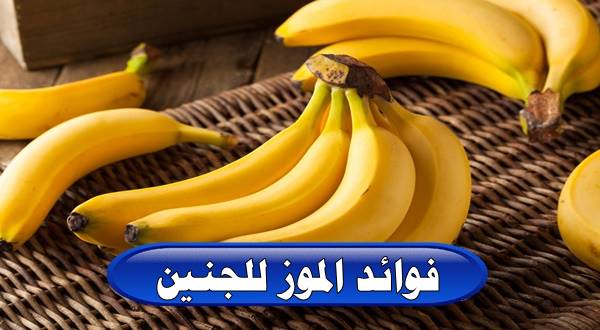 فوائد الموز للجنين