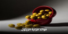فوائد مرارة الزيتون