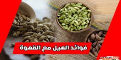 اضف حبة هيل واحدة في كوب قهوة و لن تستغني عنها بعد اليوم!