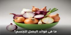 ما هى فوائد البصل للجسم؟