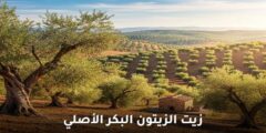 زيت الزيتون البكر الأصلي