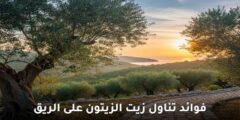 فوائد تناول زيت الزيتون على الريق