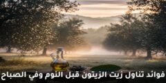 فوائد تناول زيت الزيتون قبل النوم وفي الصباح