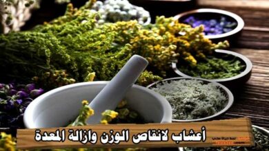 أعشاب لإنقاص الوزن وإزالة المعدة