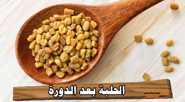 الحلبة بعد الدورة