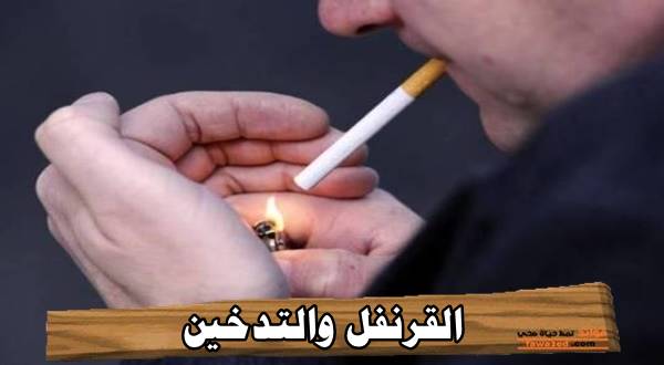 القرنفل والتدخين