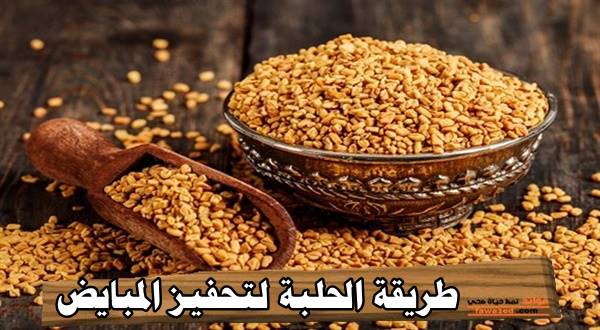 طريقة الحلبة لتنشيط المبايض