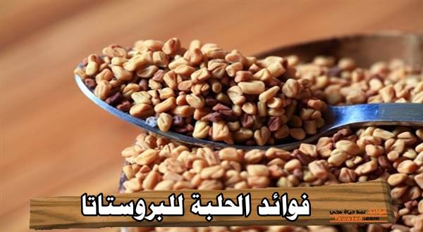 فوائد الحلبة للبروستاتا