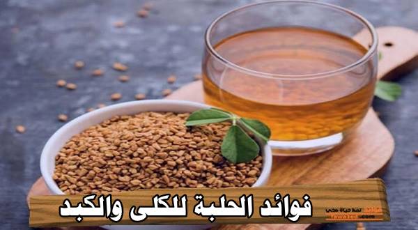 فوائد الحلبة للكلى والكبد