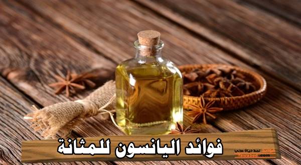 فوائد اليانسون للمثانة