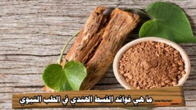 ما هي فوائد القسط الهندي في الطب النبوي