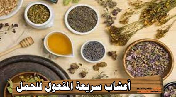 أعشاب سريعة المفعول للحمل