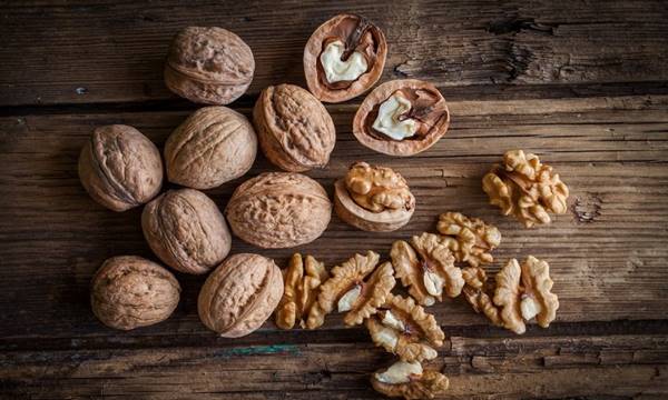 التعرف على خصائص الجوز