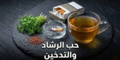 حب الرشاد والتدخين