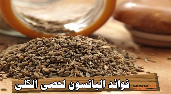 فوائد اليانسون لحصى الكلى